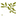 olivegarden logo
